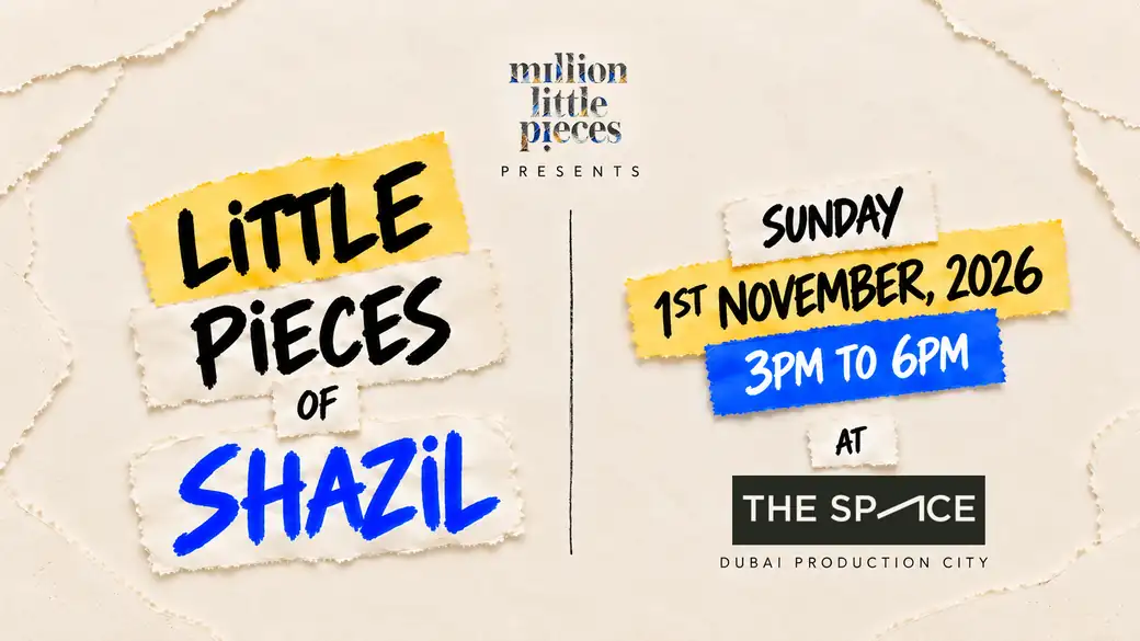 Little Pieces of Shazil 6